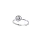 033-Ring-2