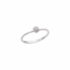 034-Ring-1