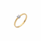 037-Ring-1
