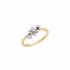 021-Ring-1