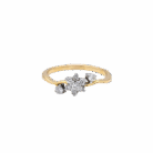 021-Ring-2