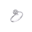 022-Ring-1