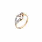 023-Ring-1