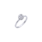 027-Ring-1