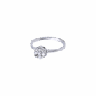 027-Ring-2
