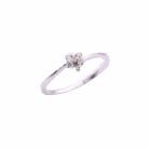 005-Ring-1