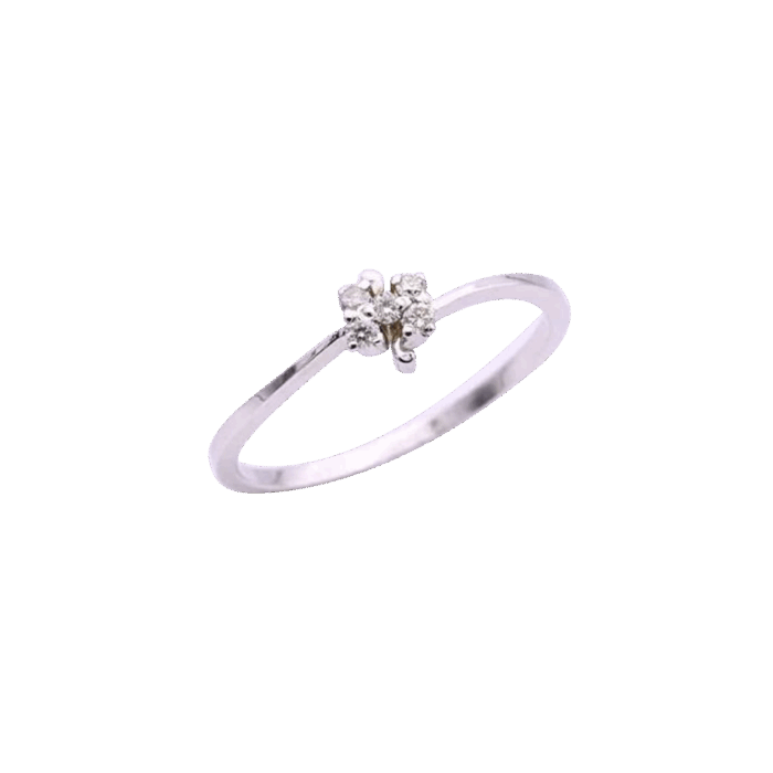 005-Ring-1