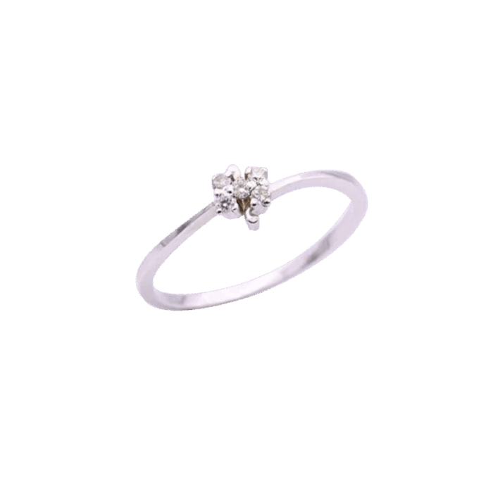 005-Ring-2